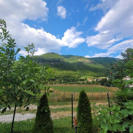 Lola Guest House Vuthaj Dış mekan fotoğraf