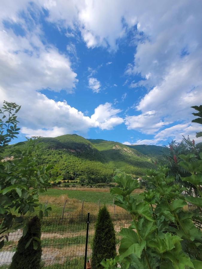 Lola Guest House Vuthaj Dış mekan fotoğraf
