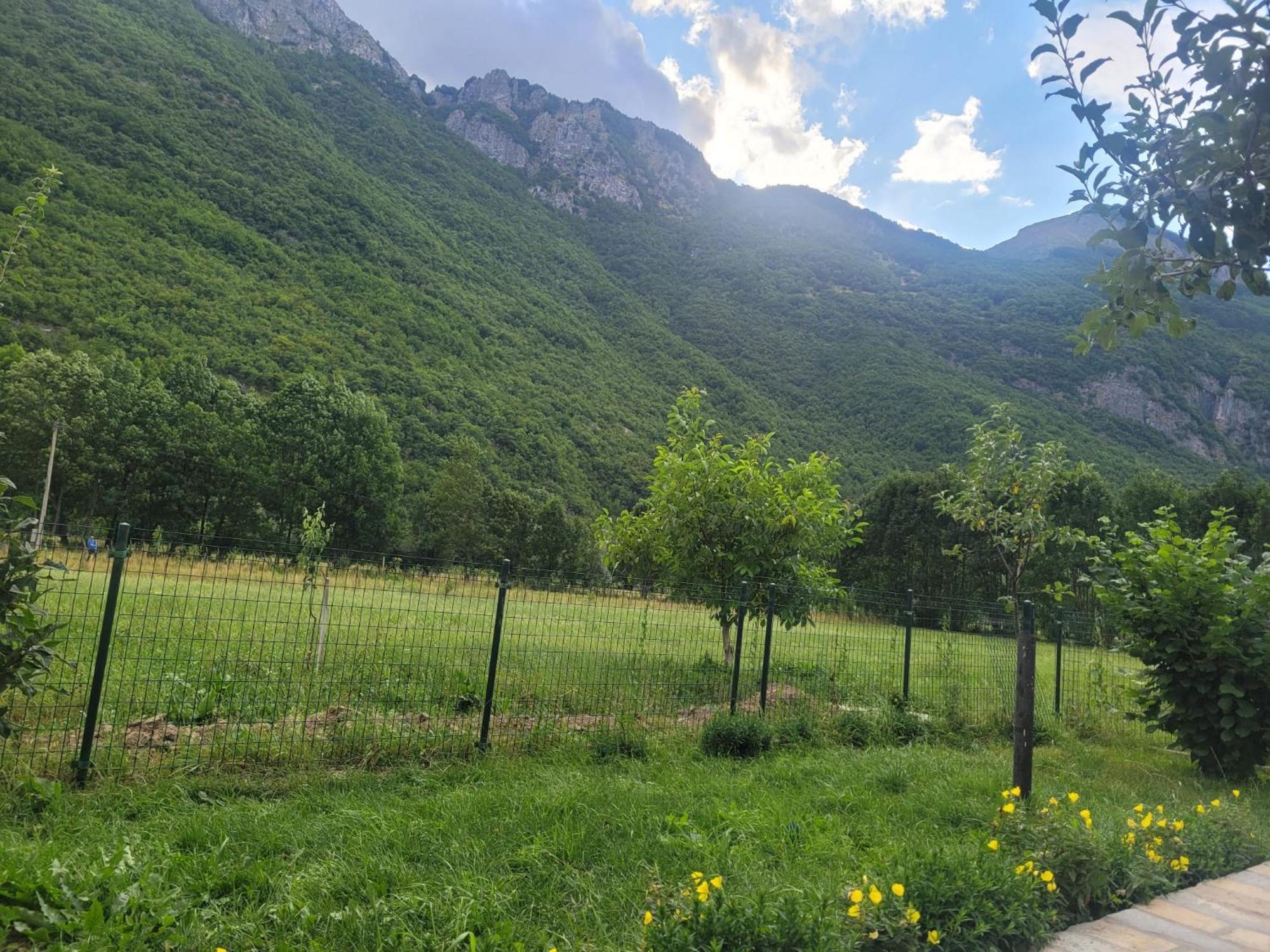 Lola Guest House Vuthaj Dış mekan fotoğraf